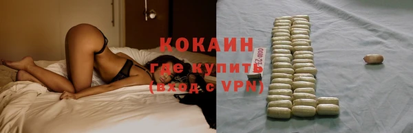 крисы Наволоки