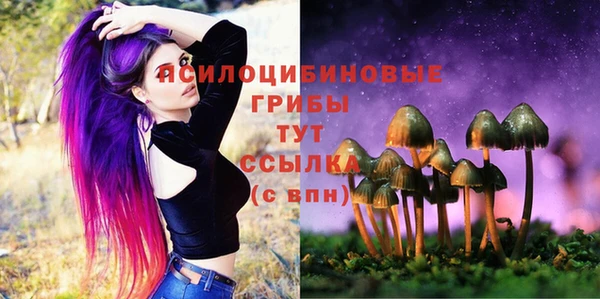 кристаллы Надым