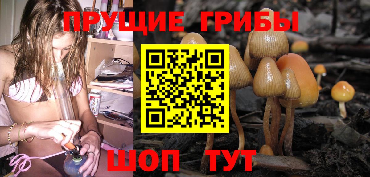 Псилоцибиновые грибы Magic Shrooms  Вход с VPN  Пятигорск  Псилоцибиновые грибы прущие грибы 