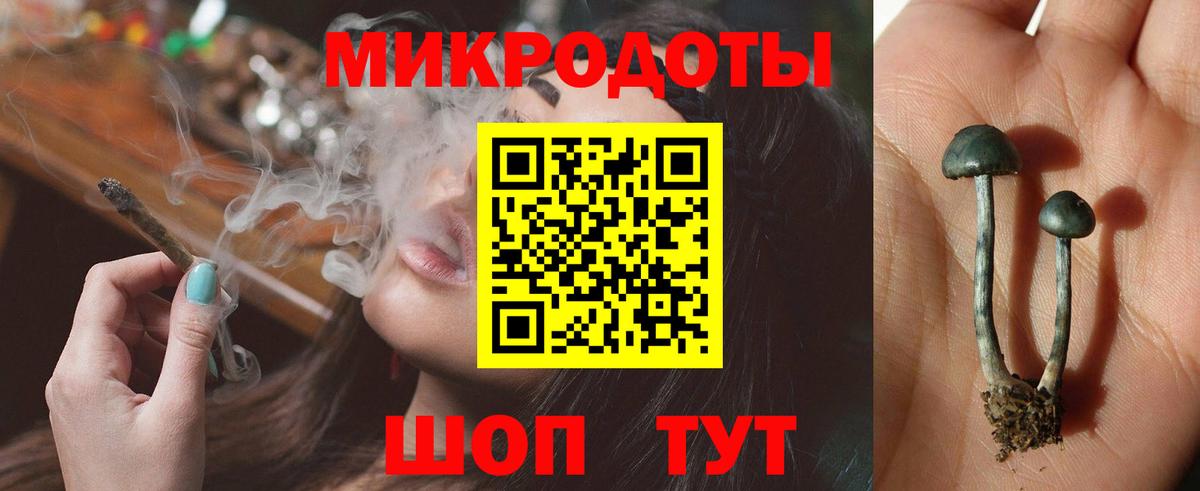 Псилоцибиновые грибы мицелий  Пятигорск  где купить наркоту  Псилоцибиновые грибы GOLDEN TEACHER 